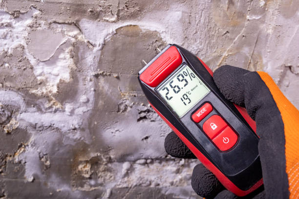 Best Toxic Mold Removal  in Dayton, OR