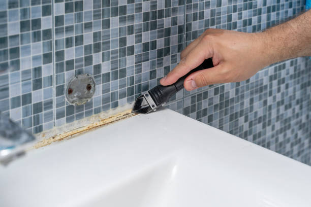 Certified Mold Removal in Dayton, OR